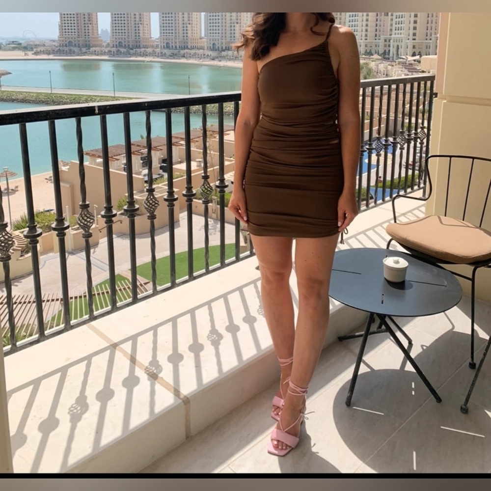 Zara Brown mini dress